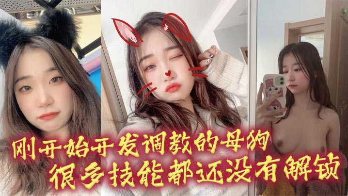 【调教实录】极品母狗开发初期 敏感带全解锁 呻吟颤抖任我操