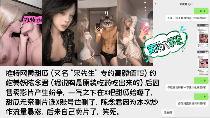 [TS-陈念君] 极品高颜值TS曝光网黄甜瓜宋先生背刺内幕 骚货合集全收录